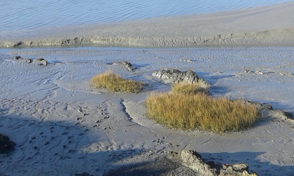 Les Hirondelles De La Baie Villa Vains Luaran gambar
